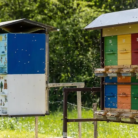 Wellbeeing Apiary At Klemen's Apartman