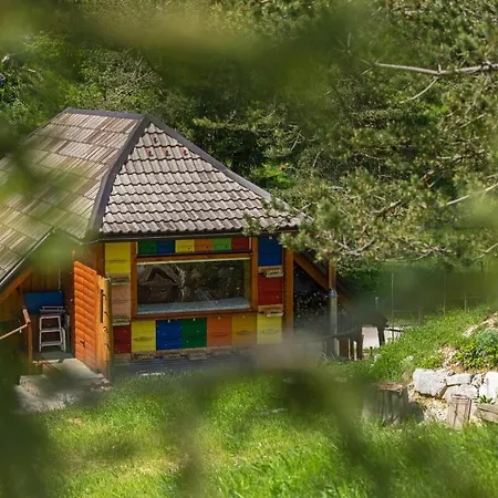 Wellbeeing Apiary At Klemen's Apartma