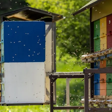 Wellbeeing Apiary At Klemen's * Črni Vrh